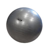 65cm Gym Ball / Fit Ball / Swiss Ball (Sale)