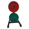 Bumper Plate Storage Rack