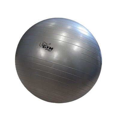 55cm Gym Ball / Fit Ball / Swiss Ball (Sale)