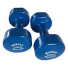 PAIR OF 10KG VINYL DUMBBELLS